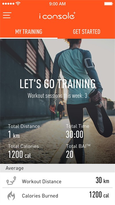 iconsole中文版下载