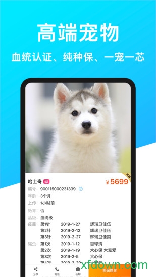 宠物市场手机版