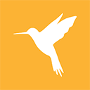 小黄鸟抓包(Reqable)软件